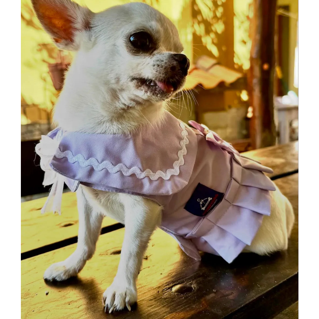 Sailor-style dog harness dress