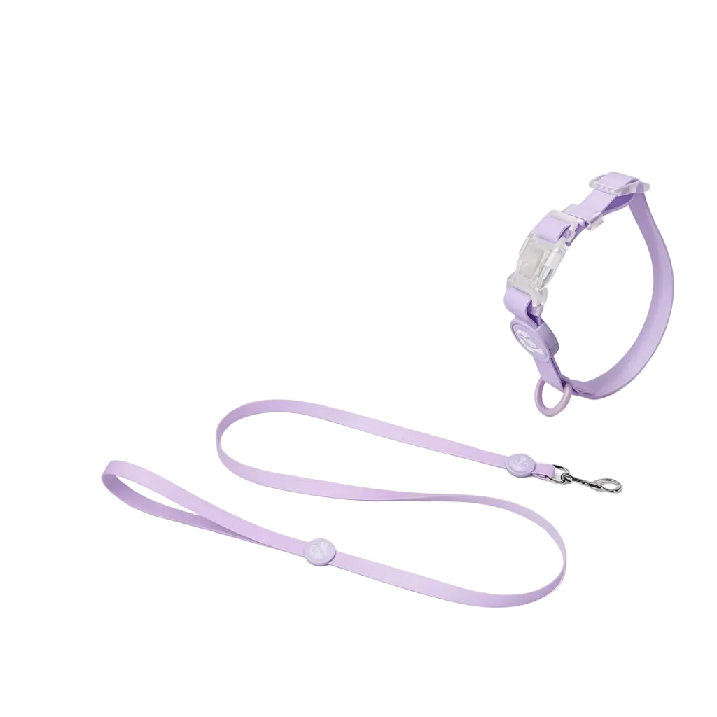 Set Collare e Guinzaglio in Biothane® per Cane