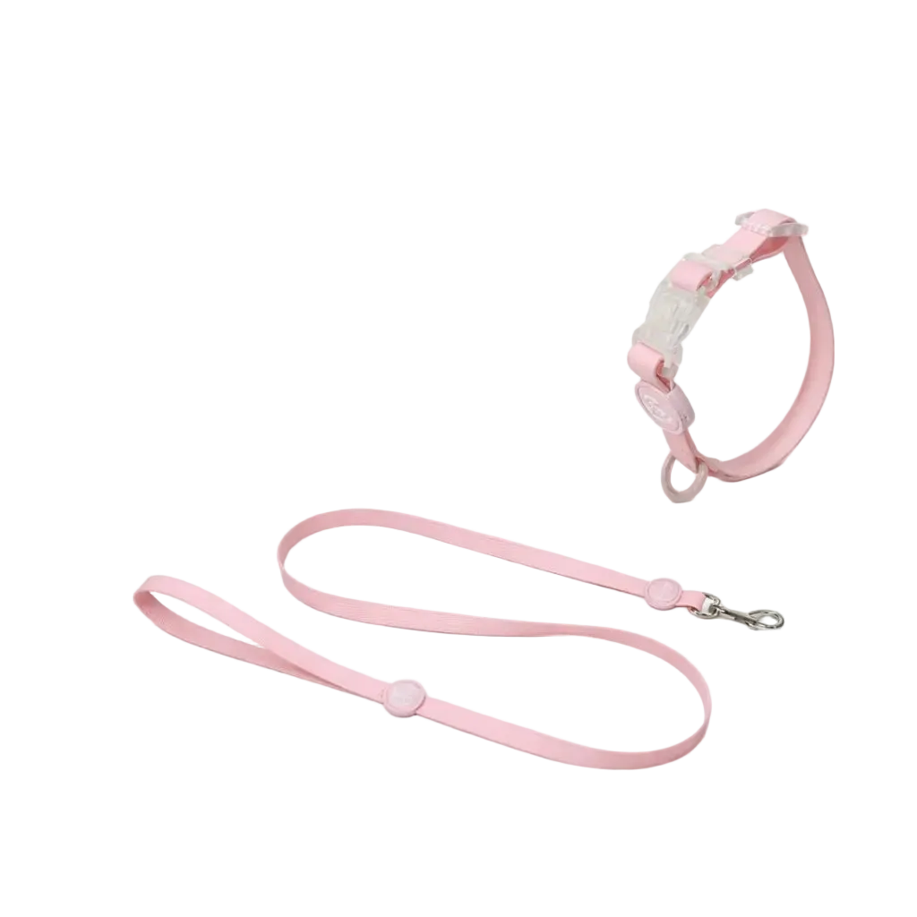 Set Collare e Guinzaglio in Biothane® per Cane