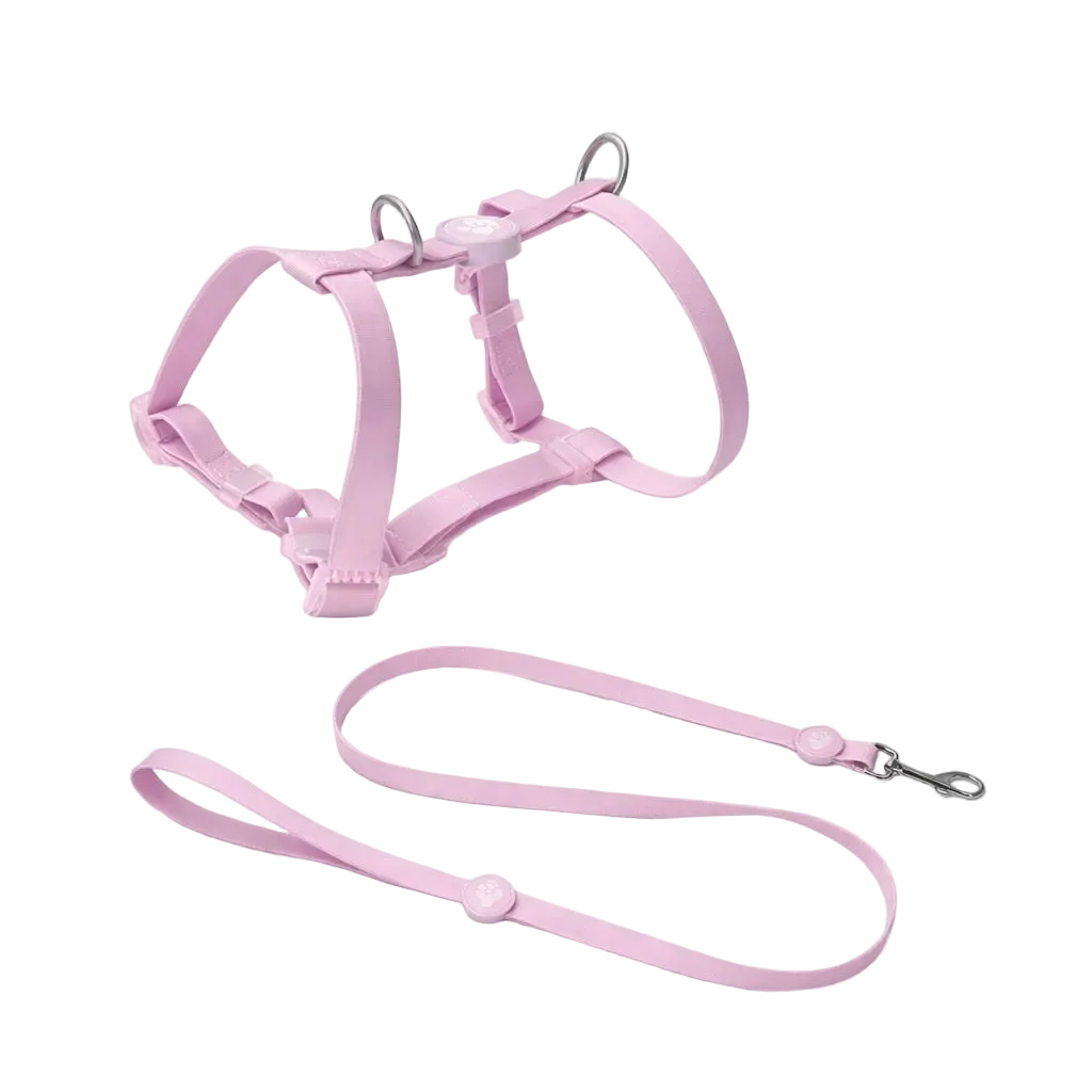 Biothane® H-Harness and Leash Set for Dogs