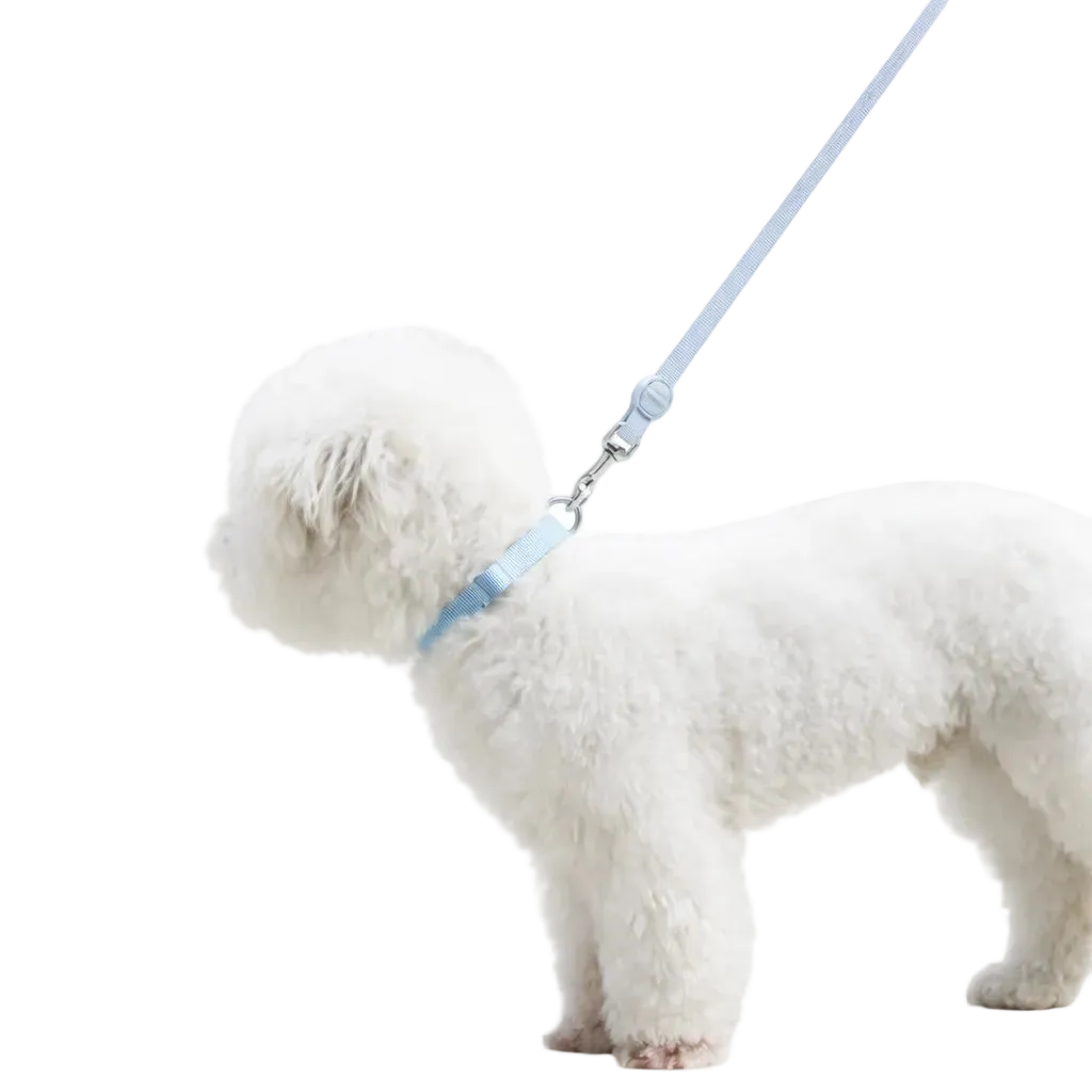 Biothane® Collar and Leash Set for Dogs