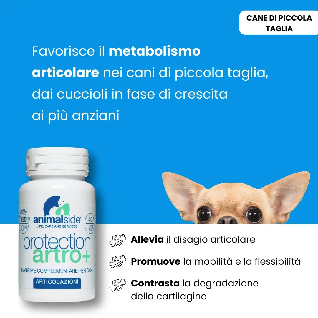 ProtectionArtro+ 600mg — Condroprotettore per Cani di Piccola Taglia | DIXY'S