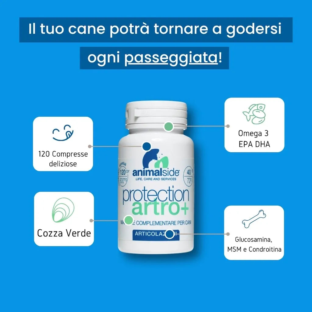 ProtectionArtro+ 600mg — Condroprotettore per Cani di Piccola Taglia | DIXY'S