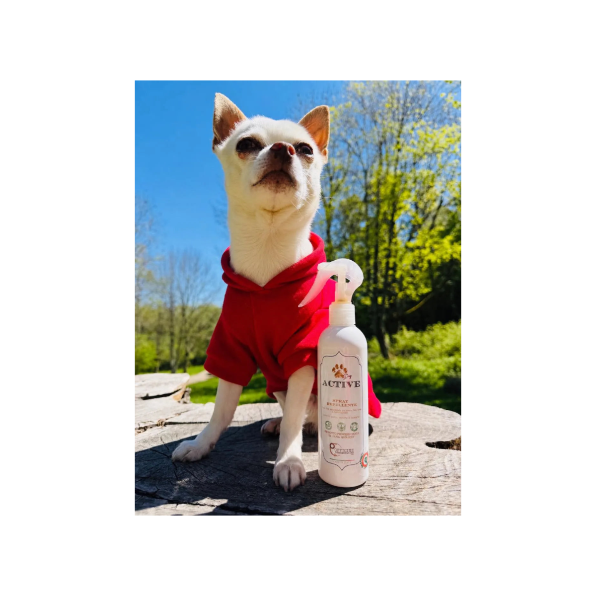 Spray Protettivo per Cane – Supporto contro Insetti e Parassiti con Olio di Neem DixyStore