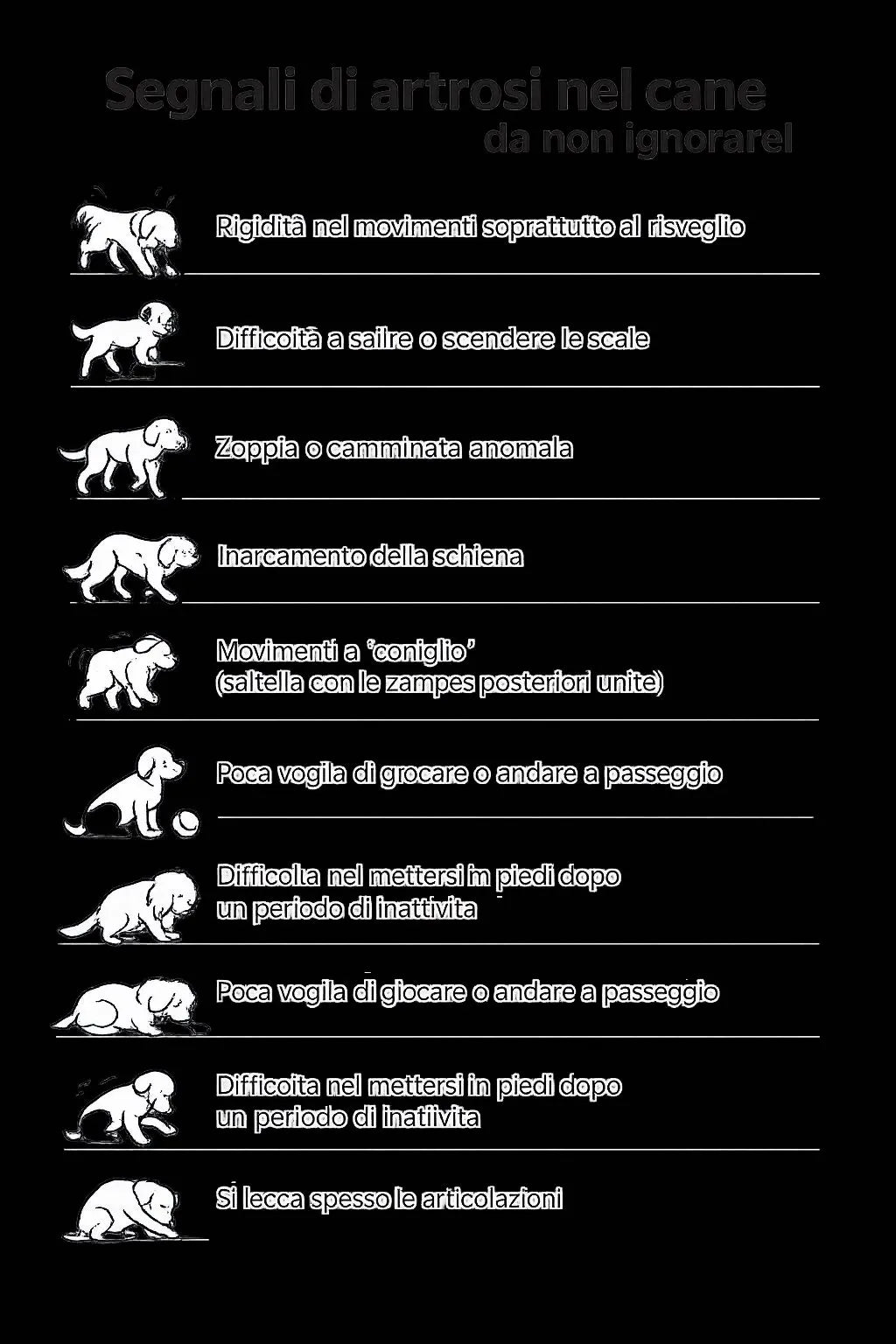 ProtectionArtro+ 600mg — Condroprotettore per Cani di Piccola Taglia | DIXY'S