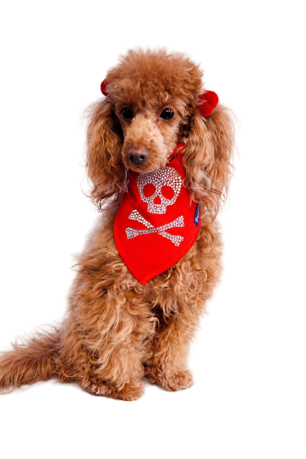 Bandana Art. JOLLY ROGER con Strass - Rosso | Dventotto®