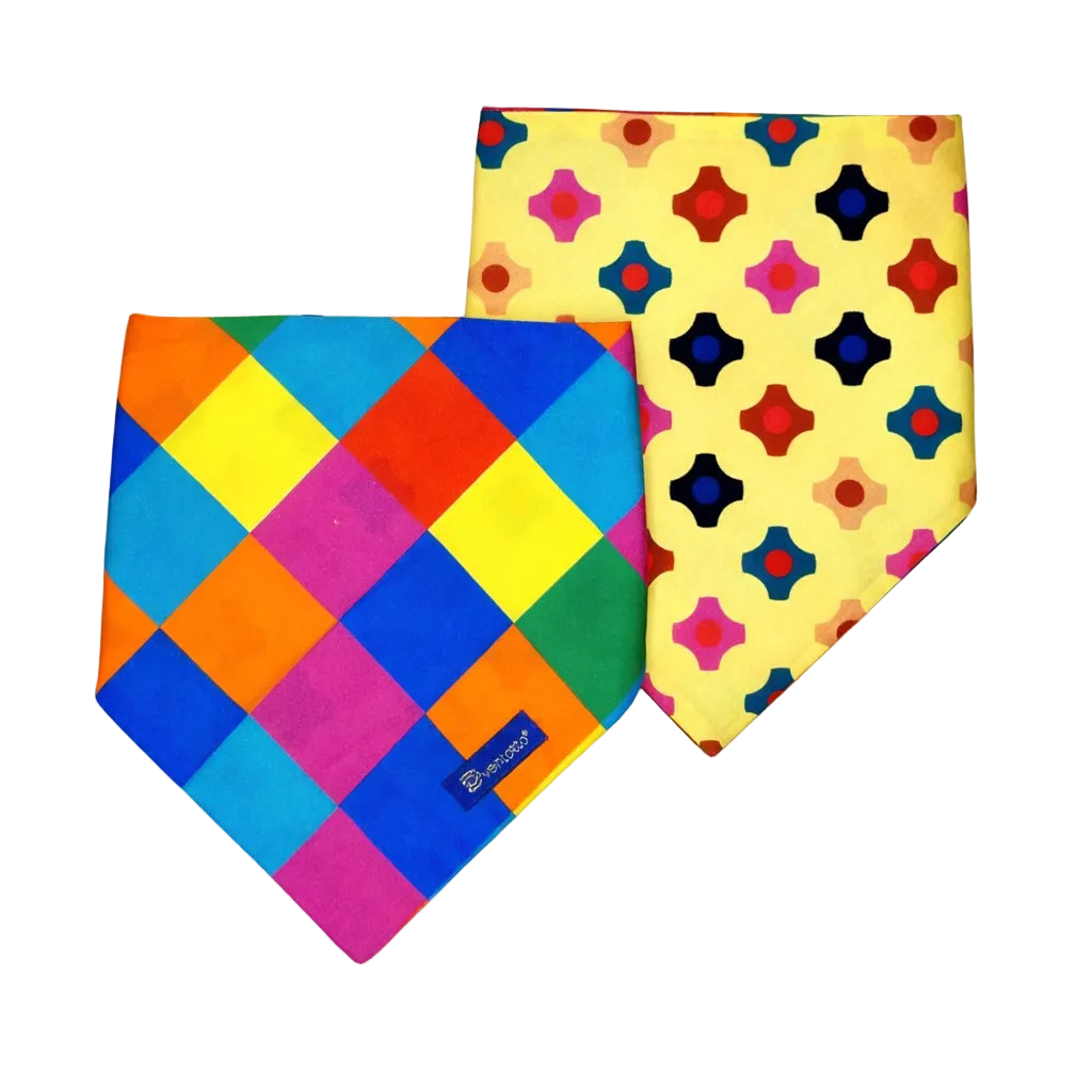 Bandana Reversibile per Cane Harlequin e Candy | Dventotto®