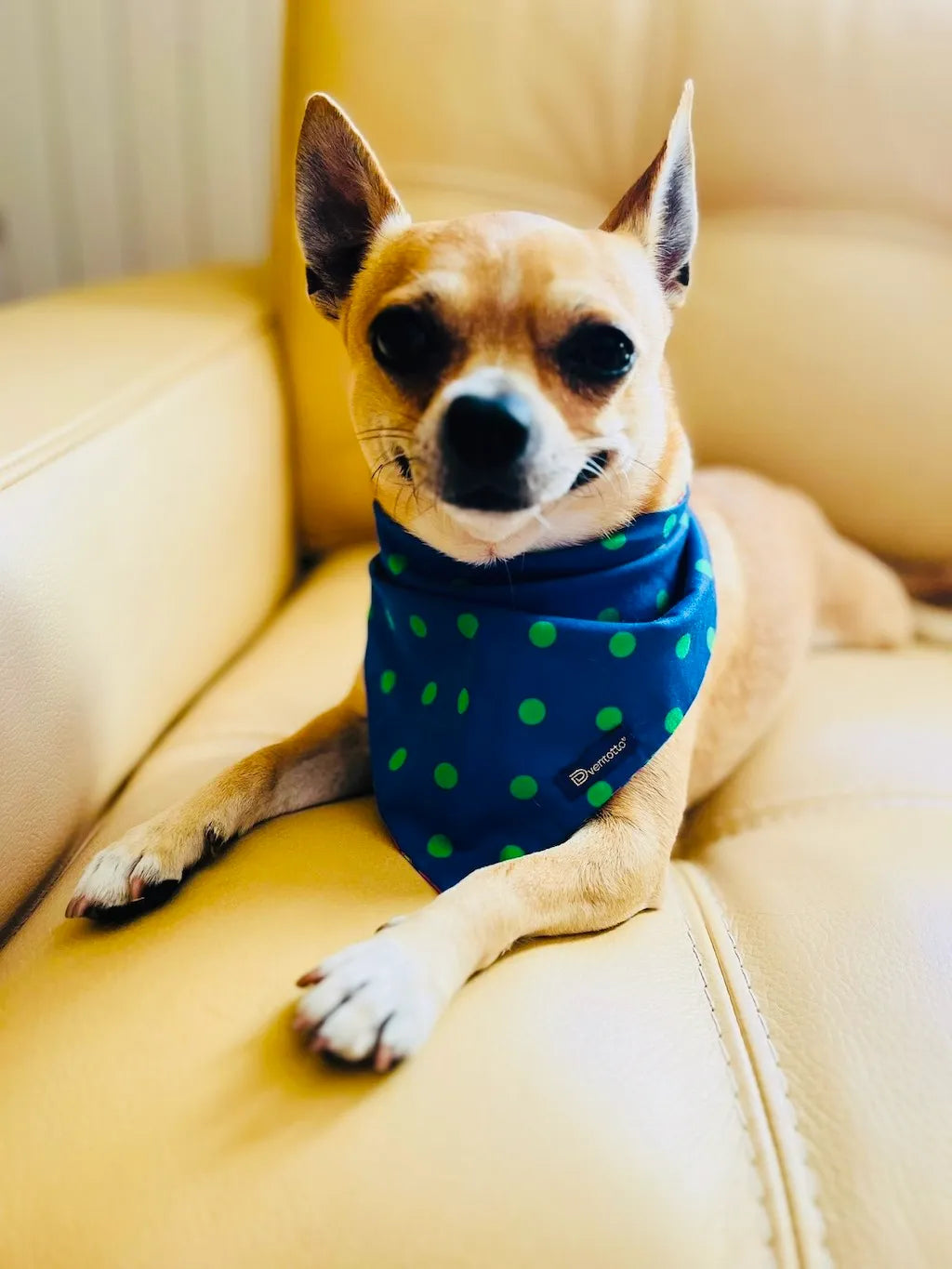 Bandana Reversibile per Cane in Cotone Floreale e Pois