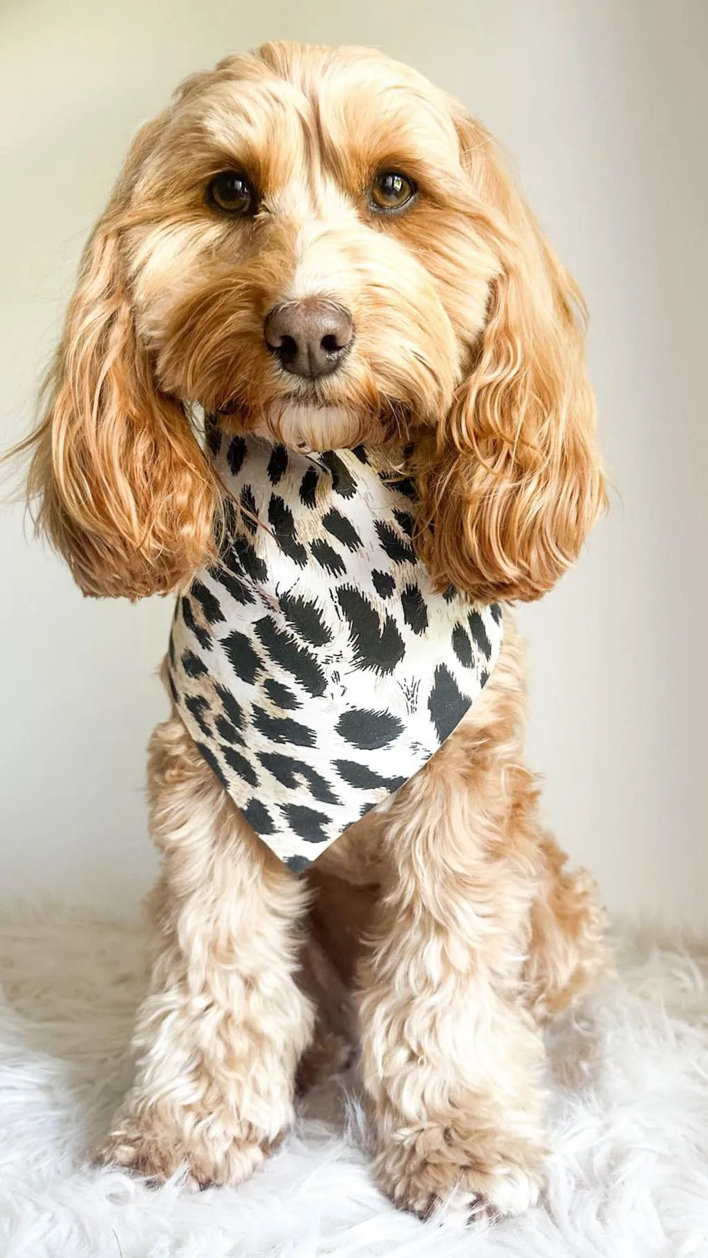 Reversible Dog Bandana Leopard and Camouflage | DIXY'S