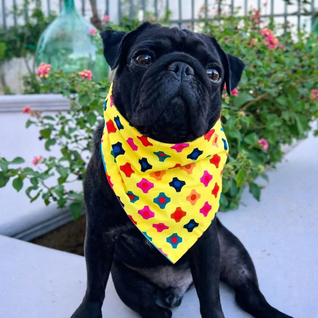 Reversible Dog Bandana Harlequin and Candy | Dventotto®