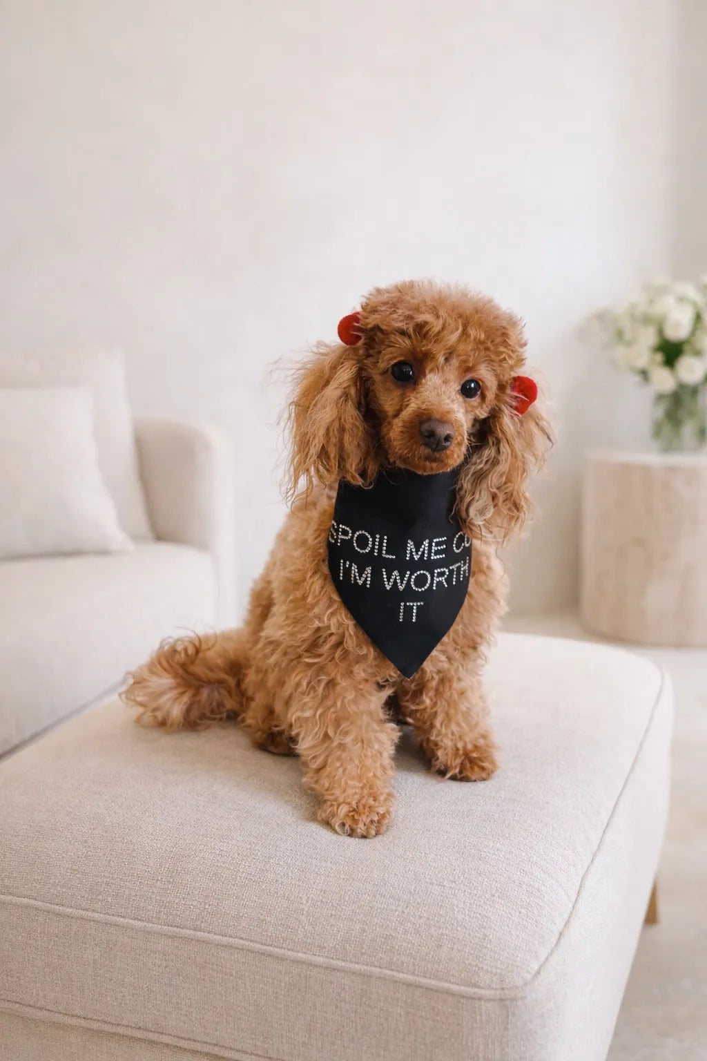 Bandane per Cane “Spoil Me Cos I’m Worth It” con Strass  | Dventotto®