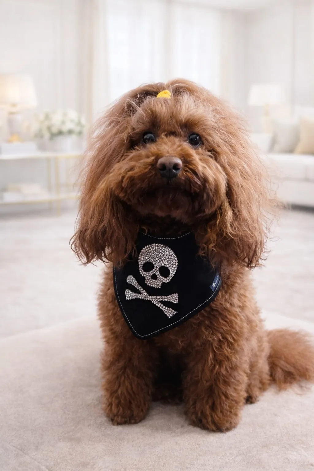 Jolly Roger Dog Bandana with Rhinestones | Dventotto®