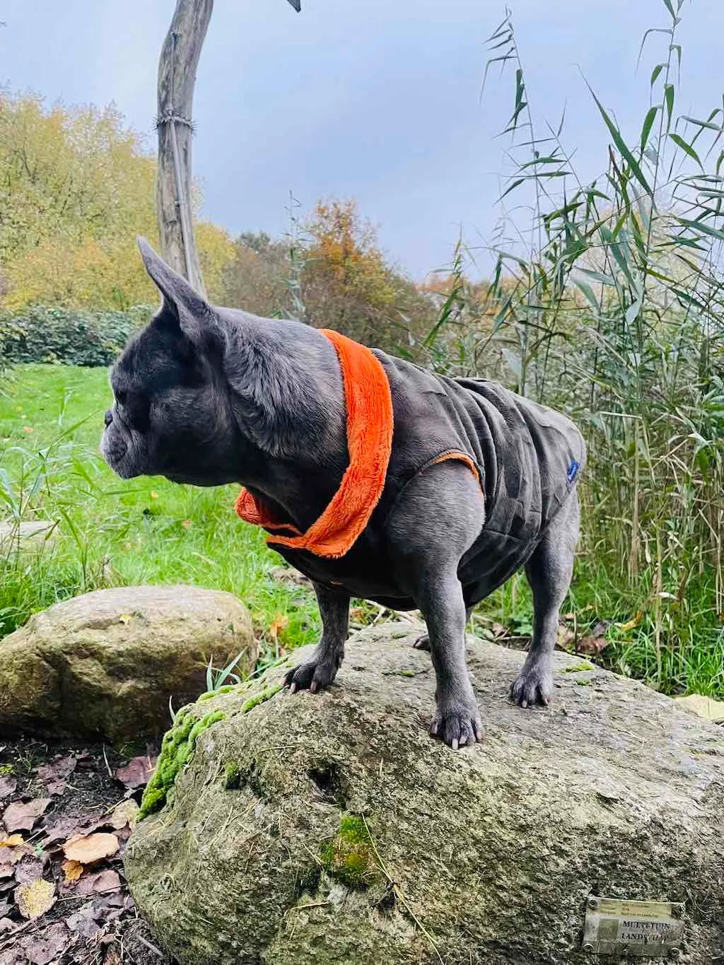 Kamo Faux Fur Coat for Brachycephalic Breeds | Dventotto®