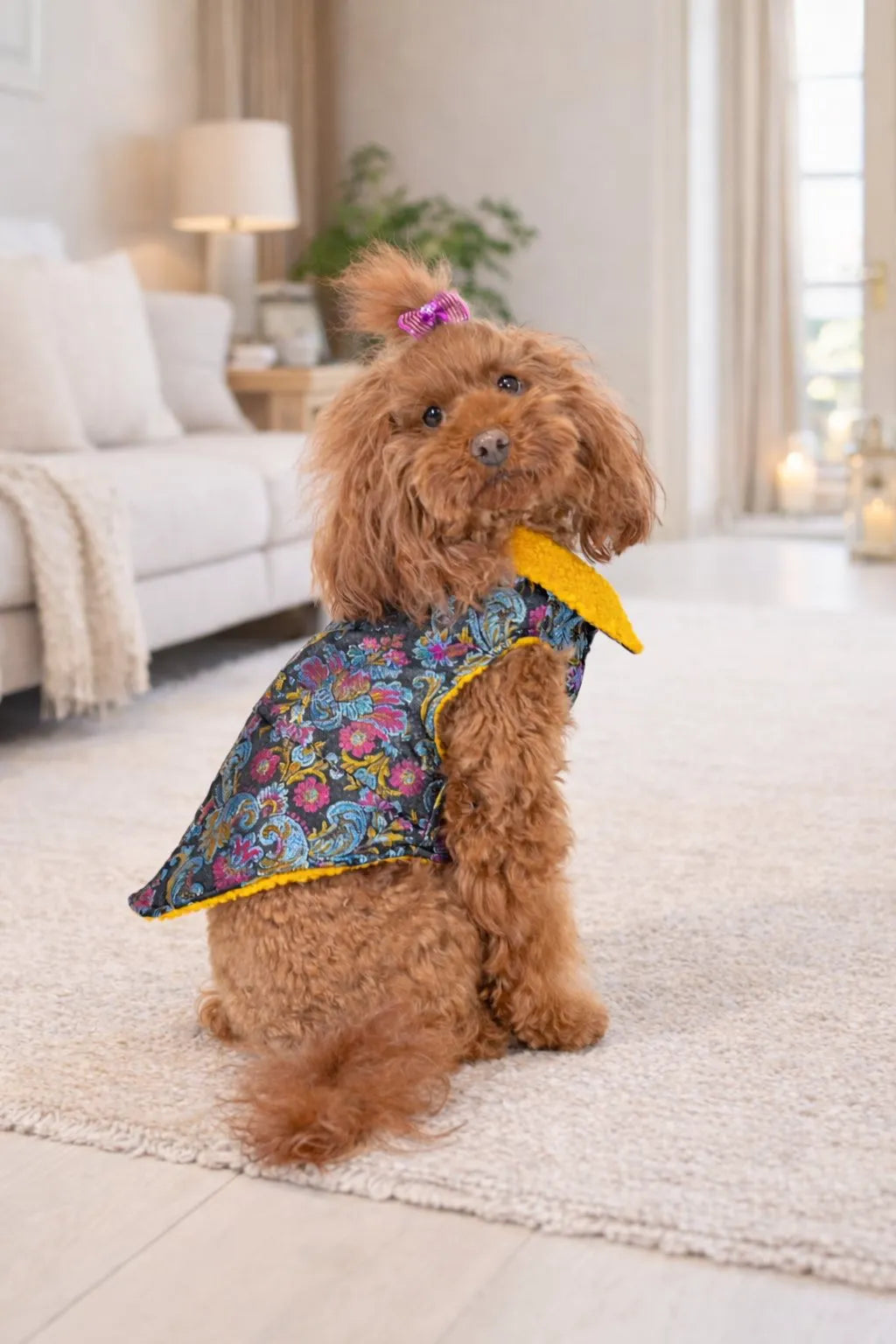 Orient Brocade Dog Coat | Dventotto®