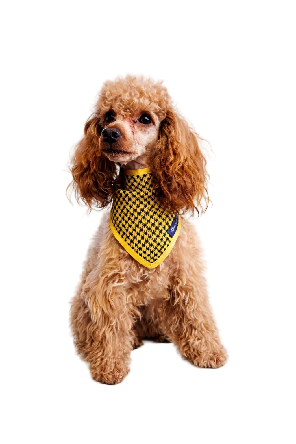 Houndstooth Dog Bandana | Dventotto®