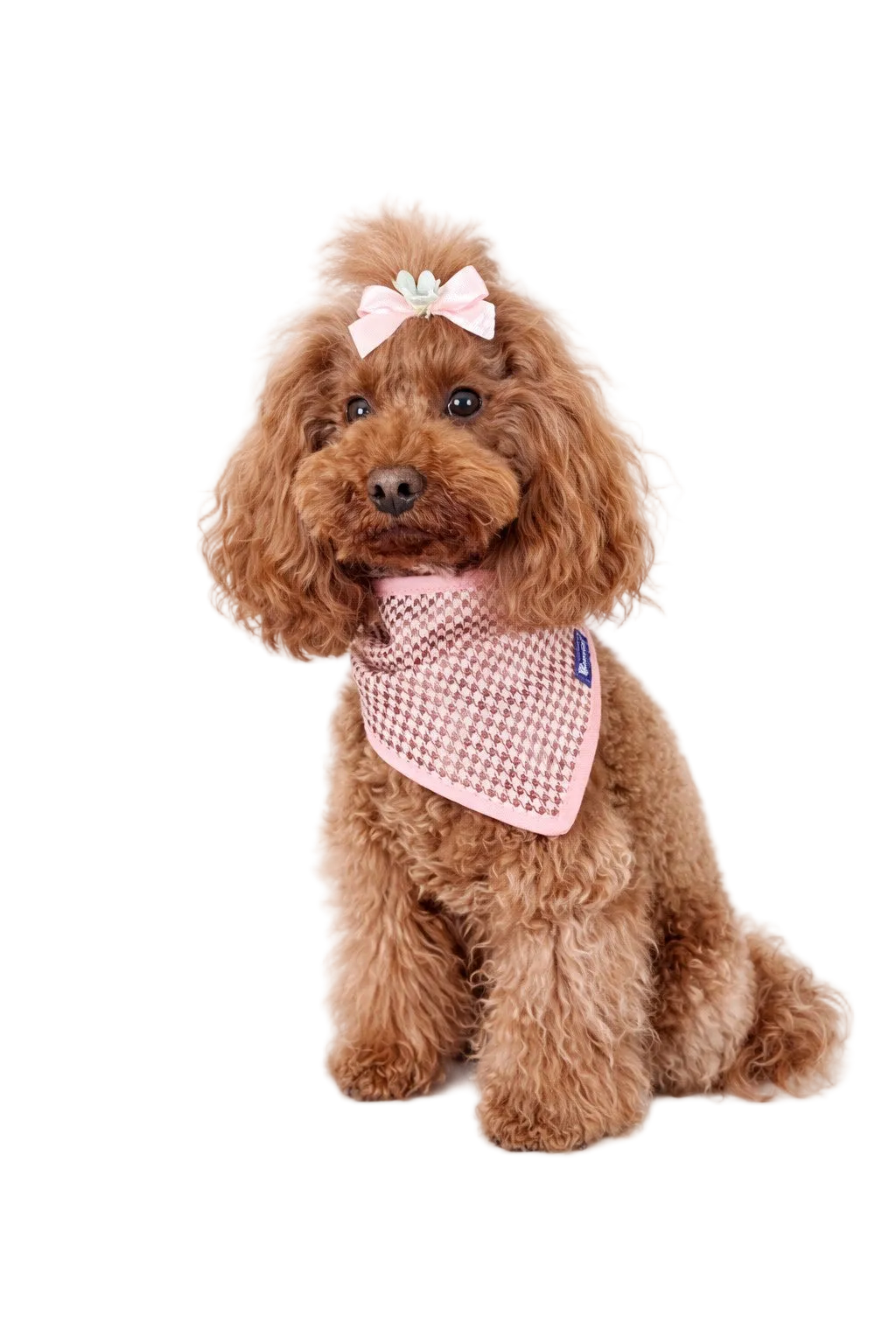 Bandana per Cani Pied-de-Poule Made in Italy | Dventotto®