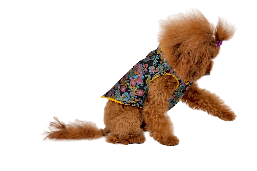 Cappotto per Cane Raffinato in Broccato Mod. Oriente | Dventotto®
