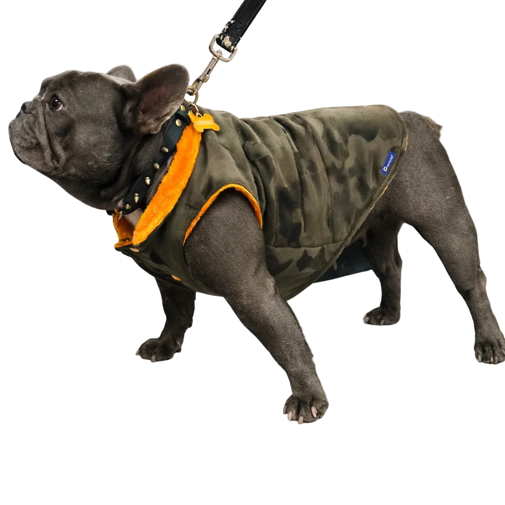 Kamo Faux Fur Coat for Brachycephalic Breeds | Dventotto®