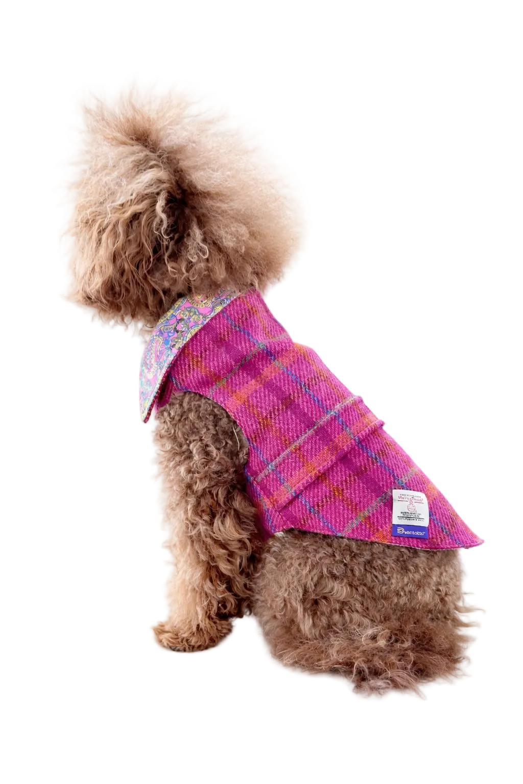 Hebrides dog coat (fuchsia) in Harris Tweed® wool | Dventotto®