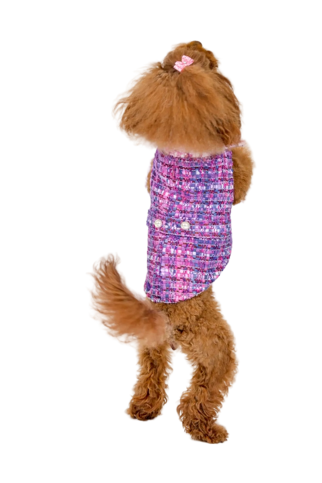 Cappotto per Cane Paris in Tweed stile Chanel | Dventotto®
