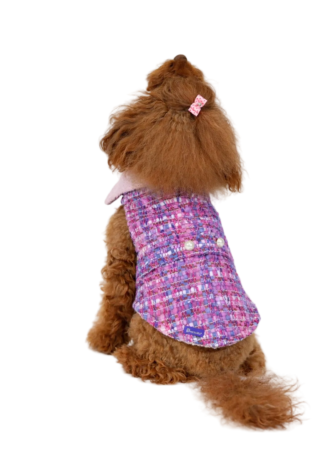Cappotto per Cane Paris in Tweed stile Chanel | Dventotto®