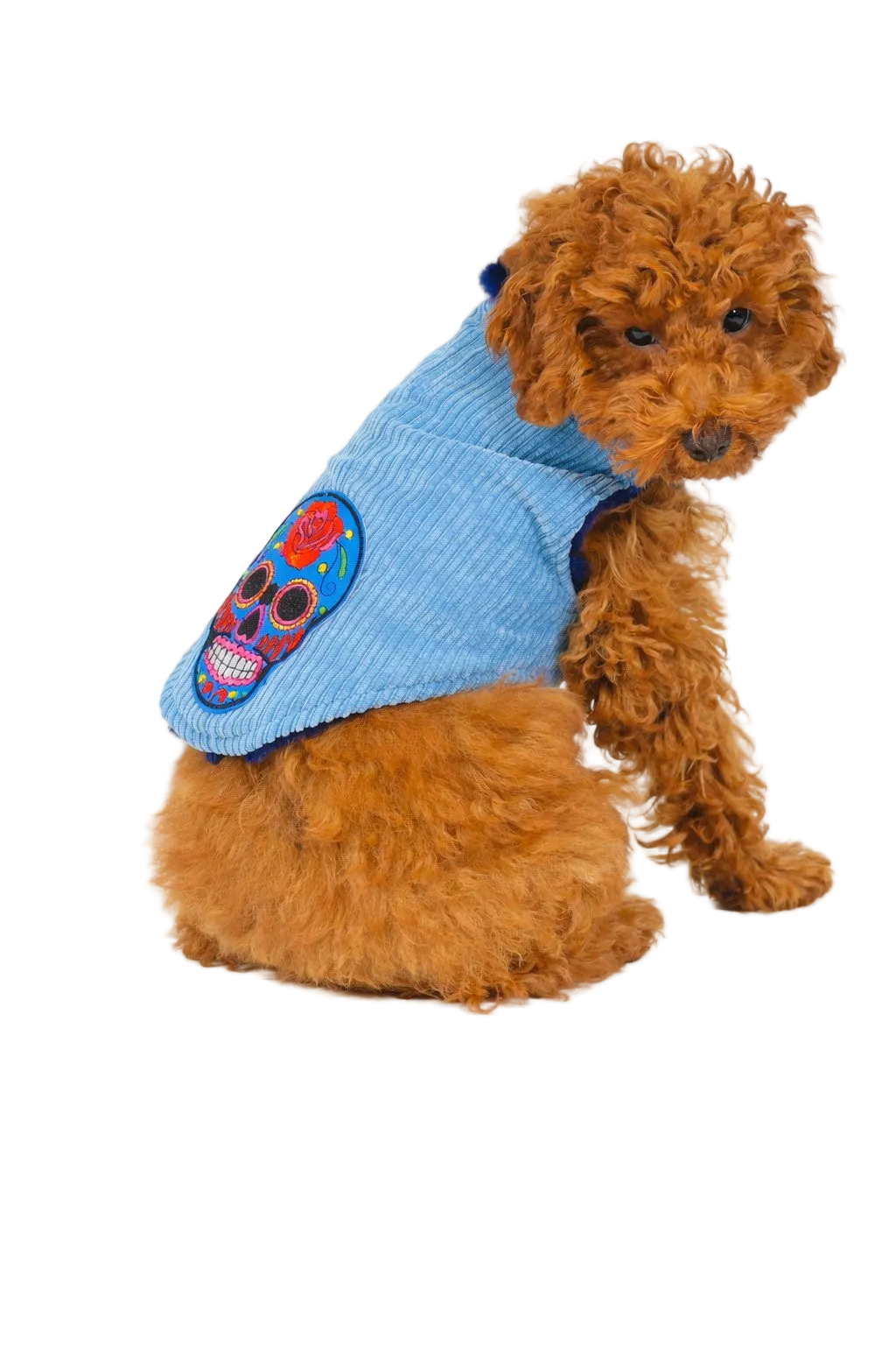 Cappotto per Cane in Velluto a Coste Mod. Nile Blue Made in Italy | Dventotto®
