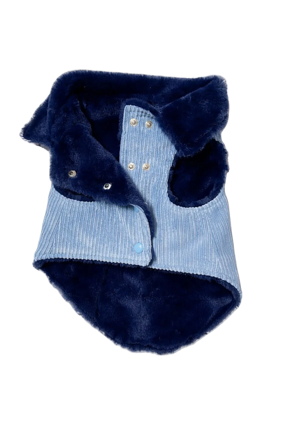 Cappotto per Cane in Velluto a Coste Mod. Nile Blue Made in Italy | Dventotto®