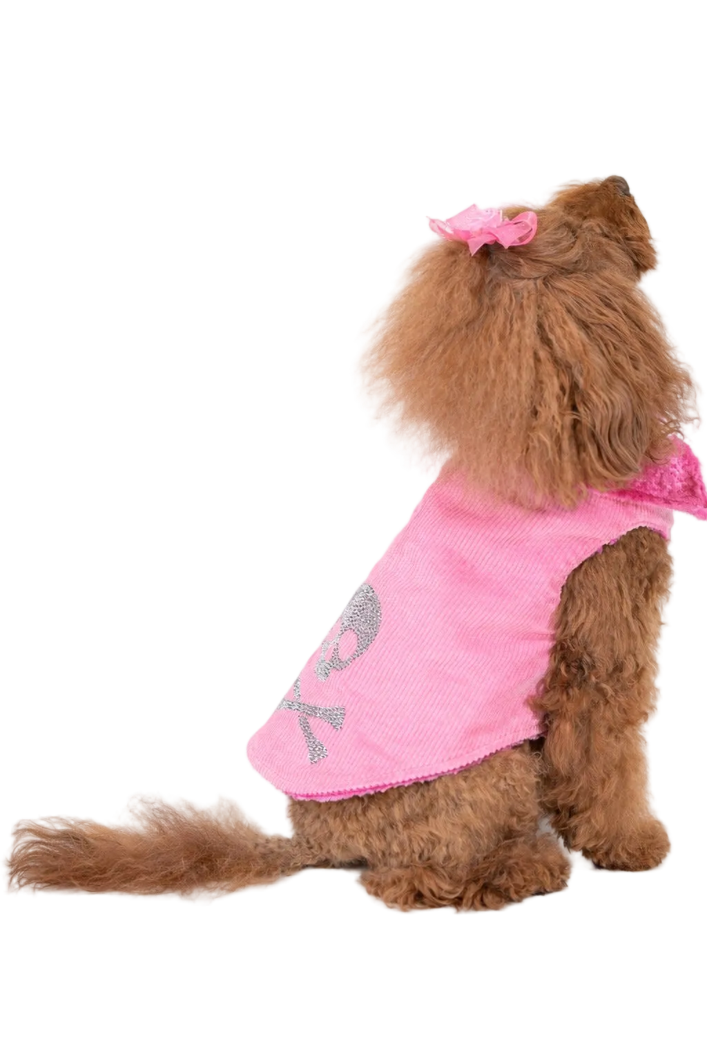 Cappotto per cane Nile Pink in velluto a coste Made in Italy | Dventotto®