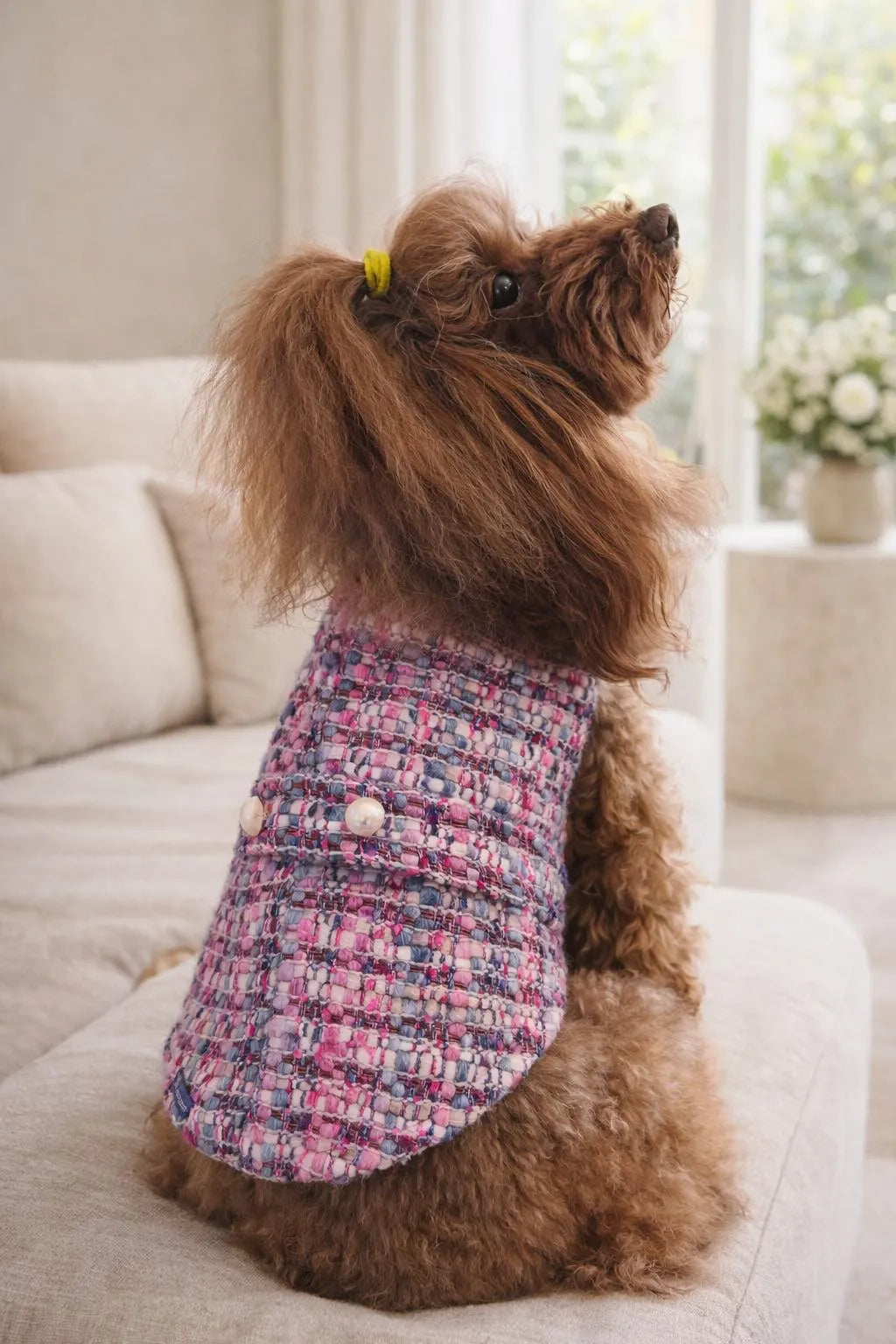 Chanel Style Tweed Dog Coat Paris | Dventotto®