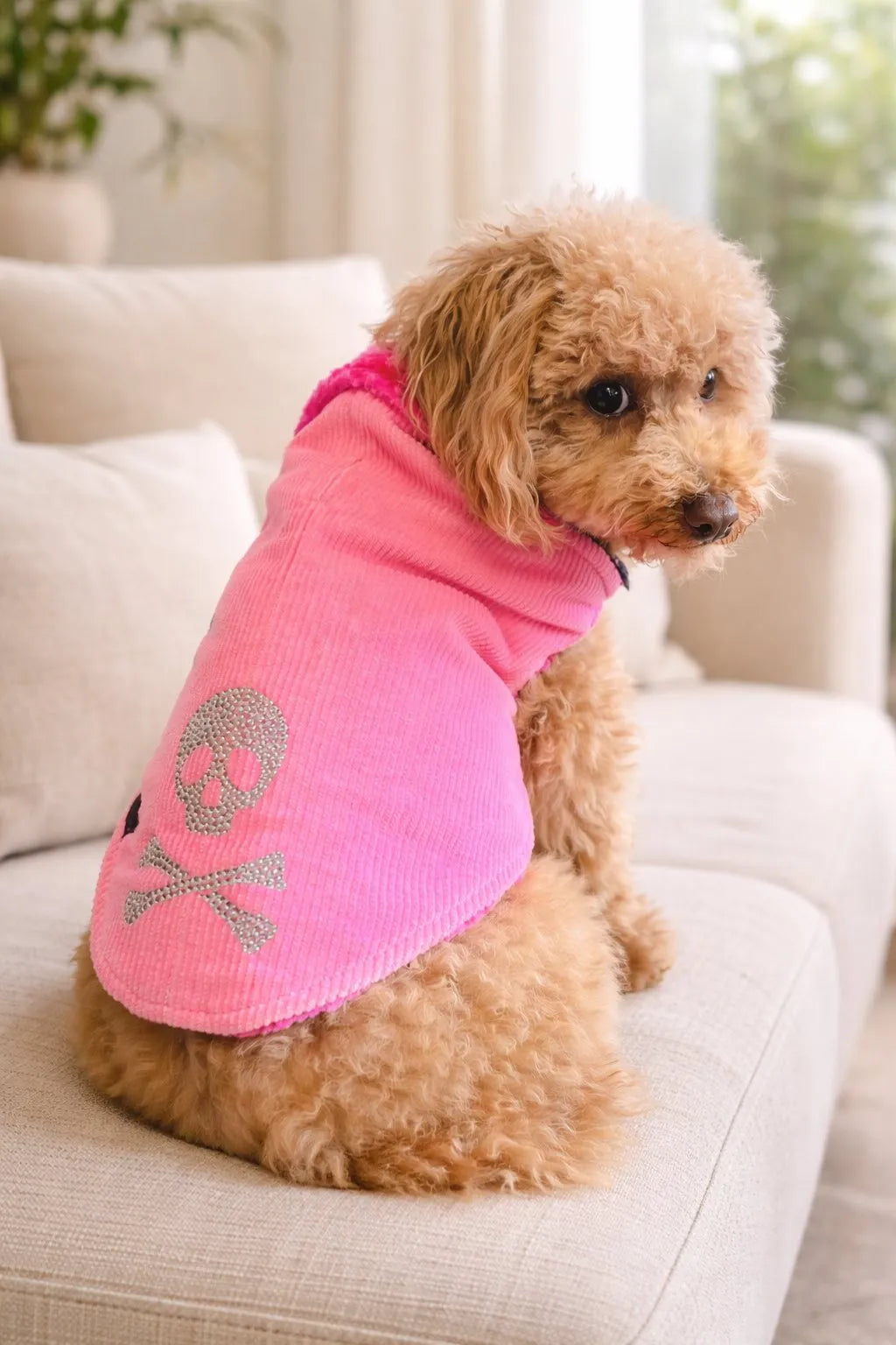 Nile Pink Corduroy Dog Coat | Dventotto®