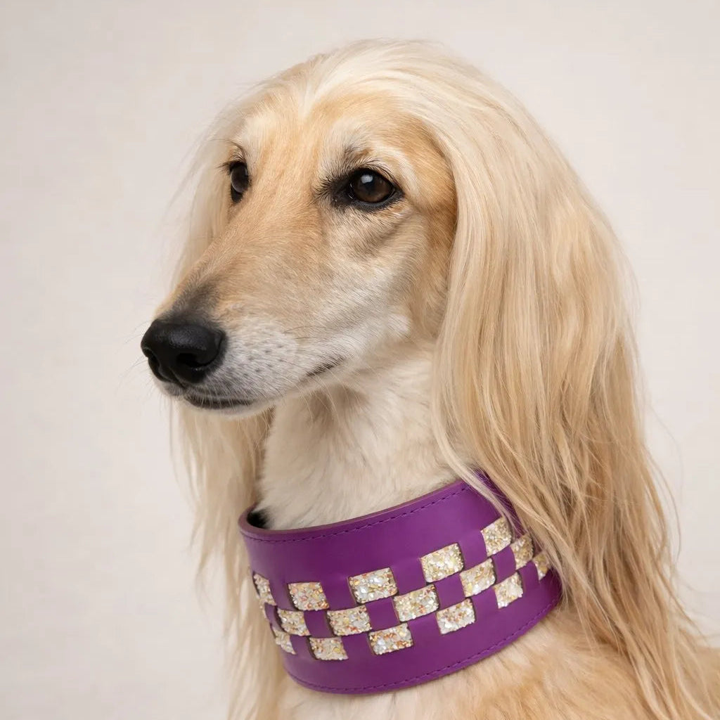 Camilla Italian Leather Collar and Leash Set for Greyhounds | Dventotto®