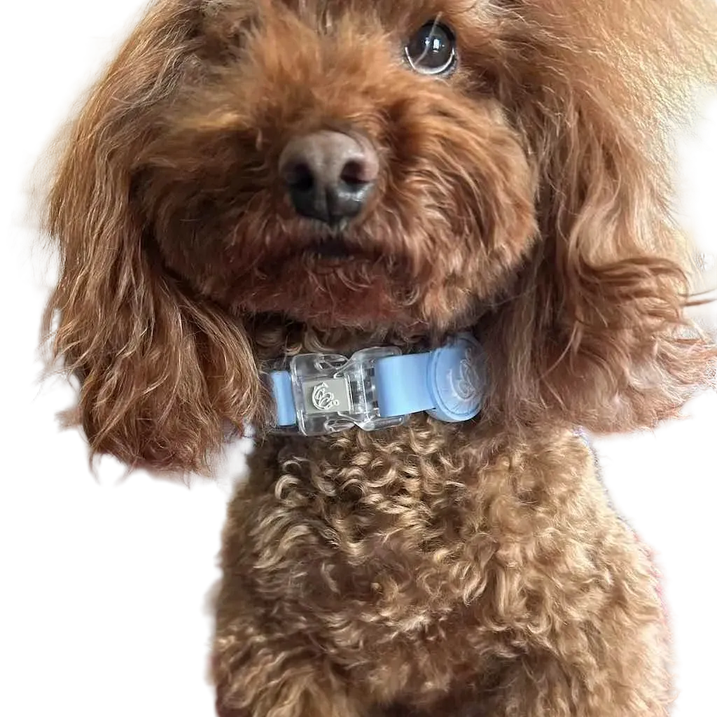 Waterproof and Adjustable Biothane® Dog Collar