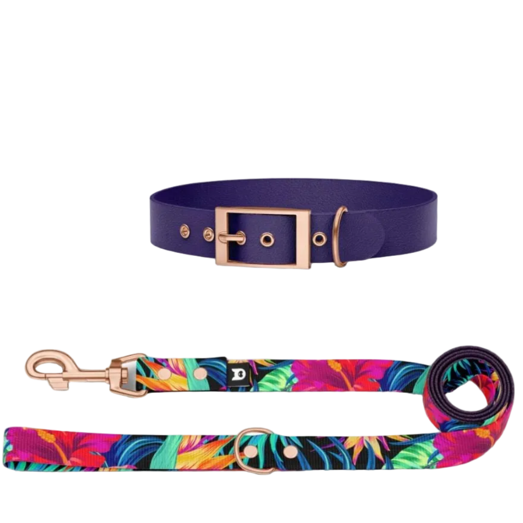 Garden Collar and Leash Set for Dogs