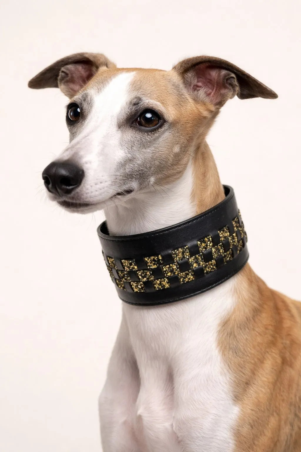 Camilla Italian Leather Collar and Leash Set for Greyhounds | Dventotto®