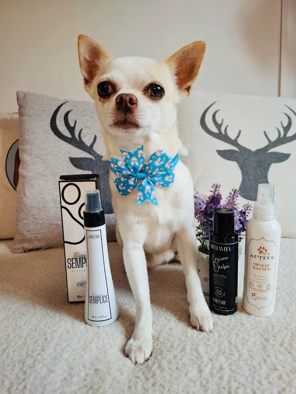 Simple Dog Perfume – Floral Notes with Citrus Accents