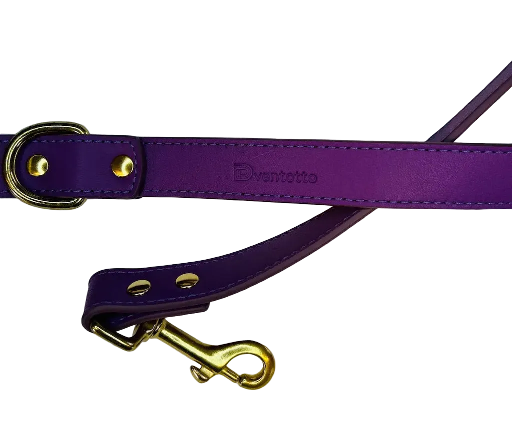 Camilla Italian Leather Collar and Leash Set for Greyhounds | Dventotto®