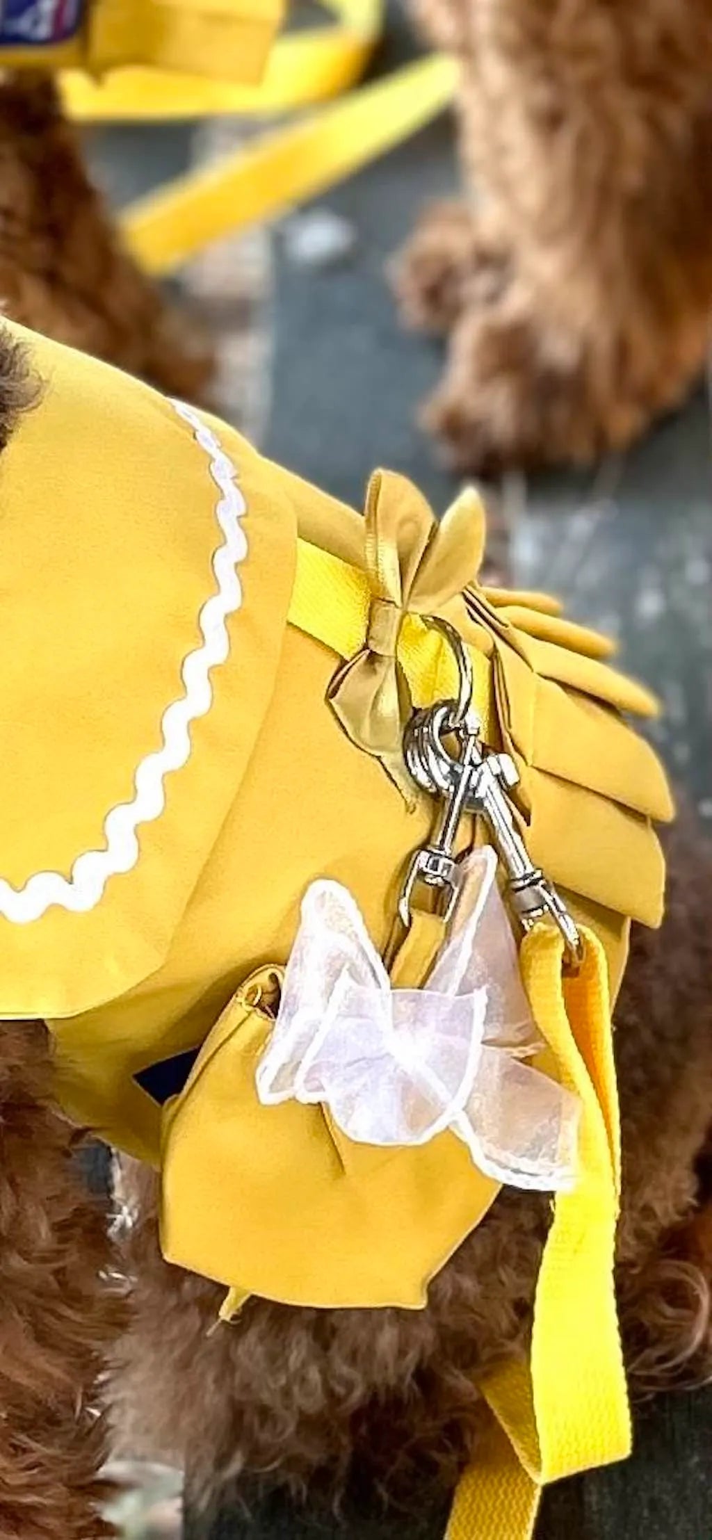 Sailor-style dog harness dress