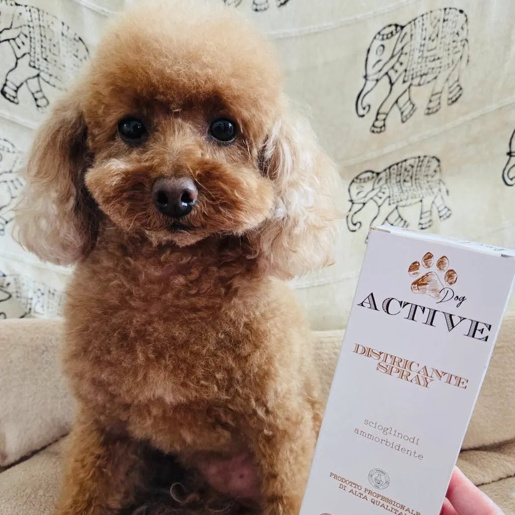 Detangling Spray for Dogs