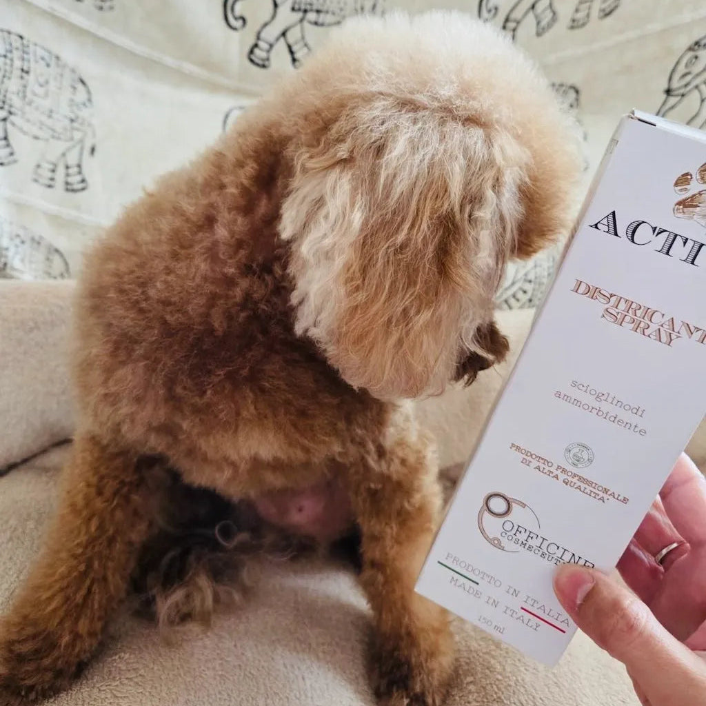 Detangling Spray for Dogs