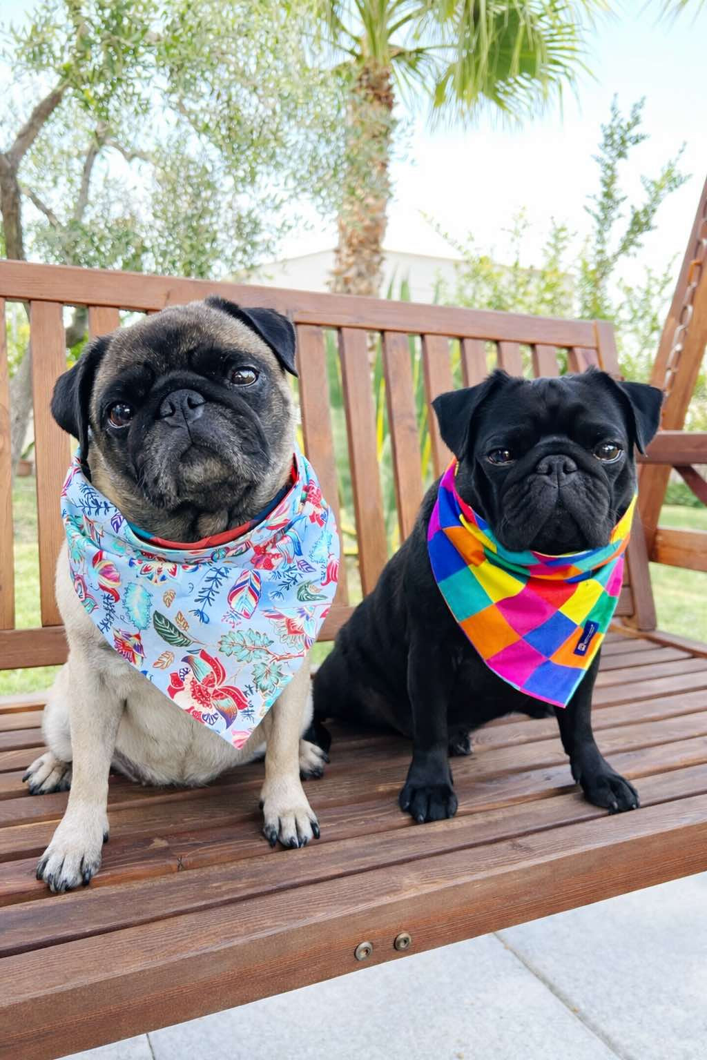 Reversible Dog Bandana in Floral and Gingham Cotton | Dventotto®