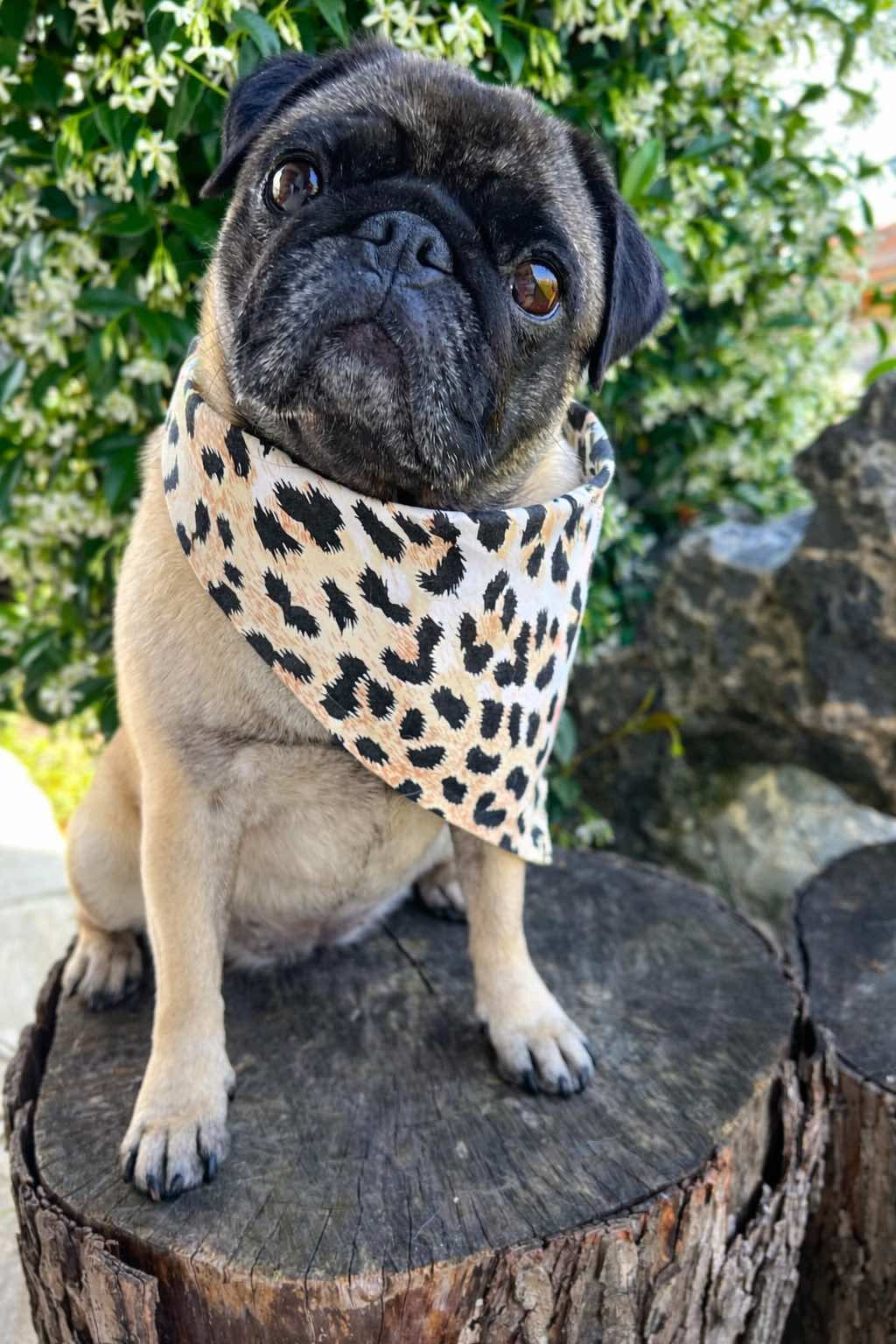 Bandana Reversibile per Cane Leopard e Camouflage | DIXY'S