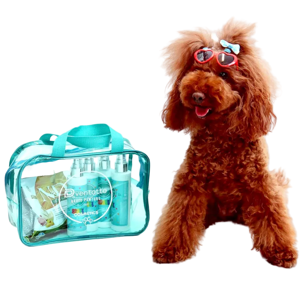 Essential Dog Travel Kits | Dventotto®