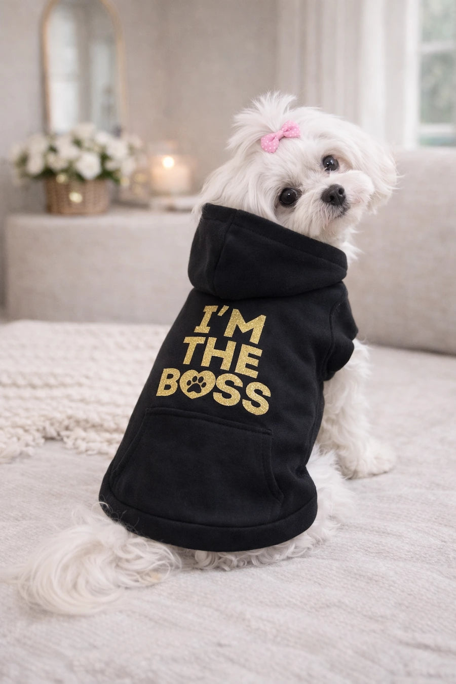 "I'm the Boss" Dog Hoodie | DIXY'S