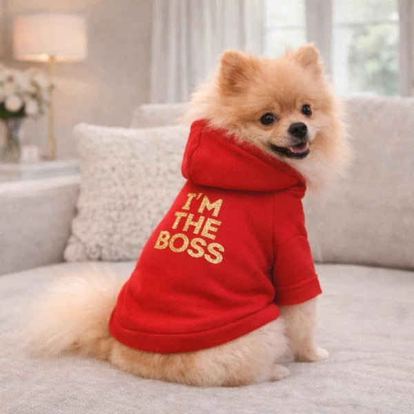 "I'm the Boss" Dog Hoodie | DIXY'S