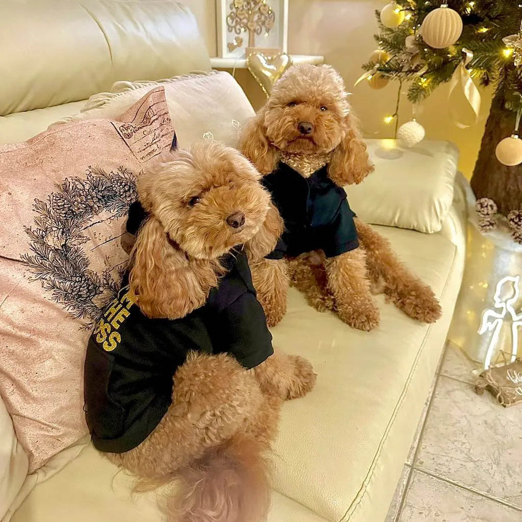 "I'm the Boss" Dog Hoodie | DIXY'S