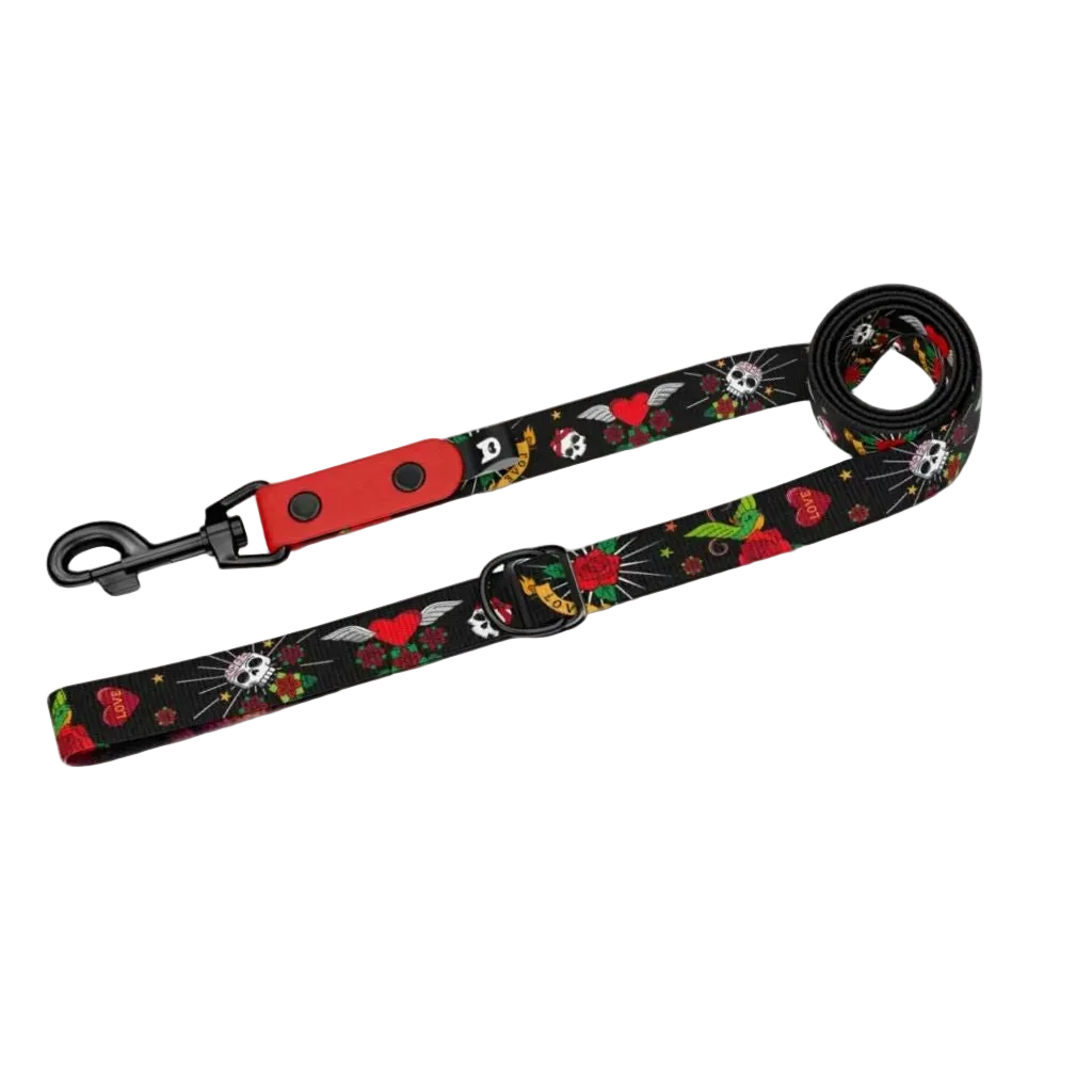 Rascal Dog Leash - Durable and comfortable