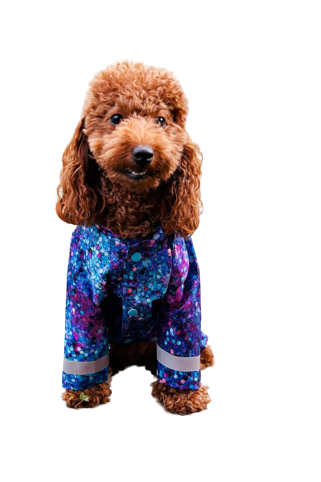 Bubbles dog suit raincoat - lightweight and breathable