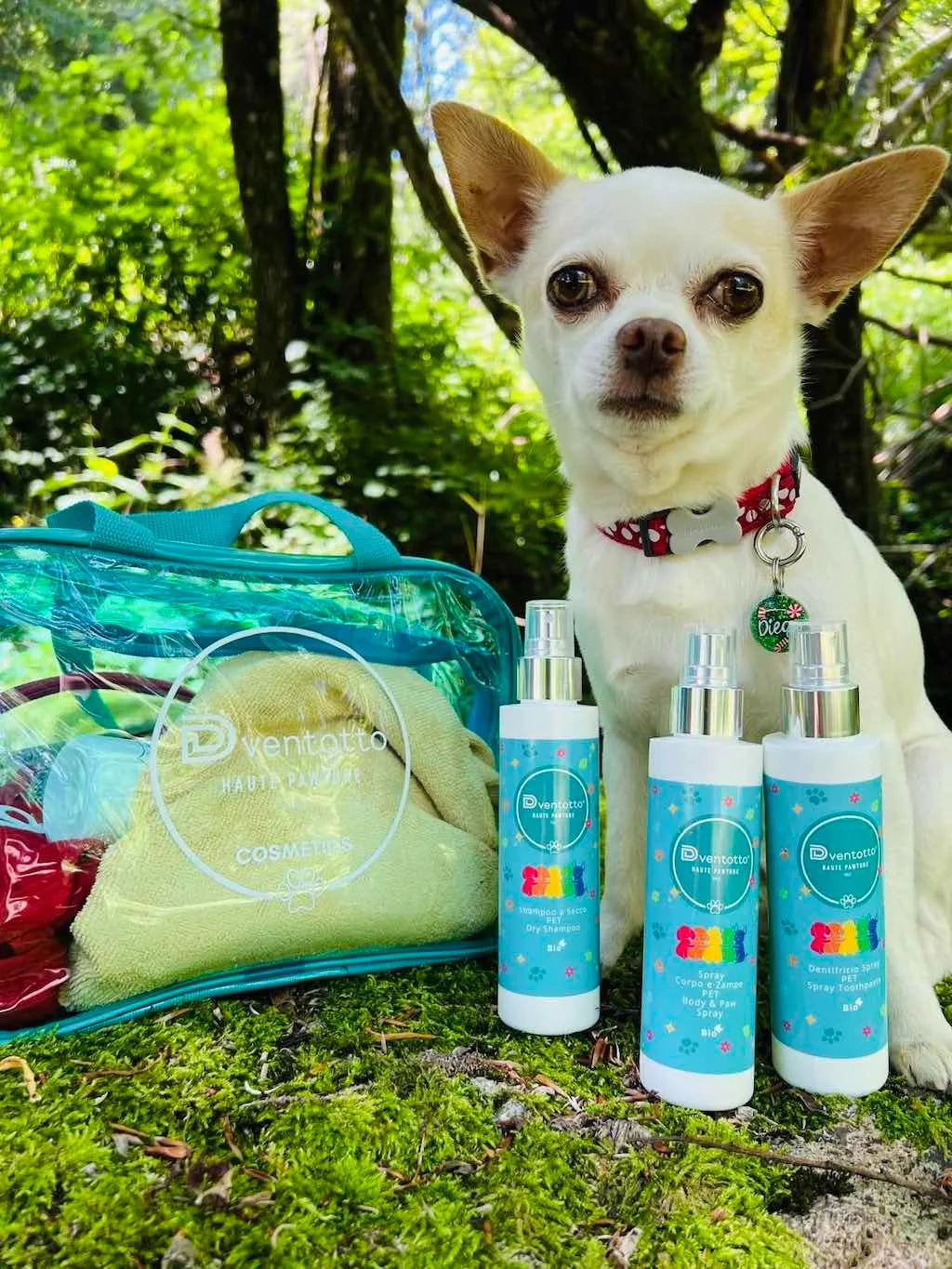 Essential Dog Travel Kits | Dventotto®