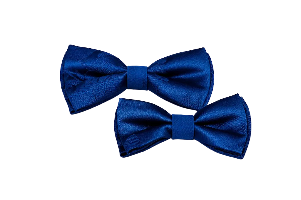 Handmade Italian Damask Fabric Dog Bow Tie | DIXY'S