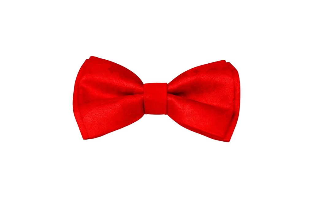 Handmade Italian Damask Fabric Dog Bow Tie | DIXY'S